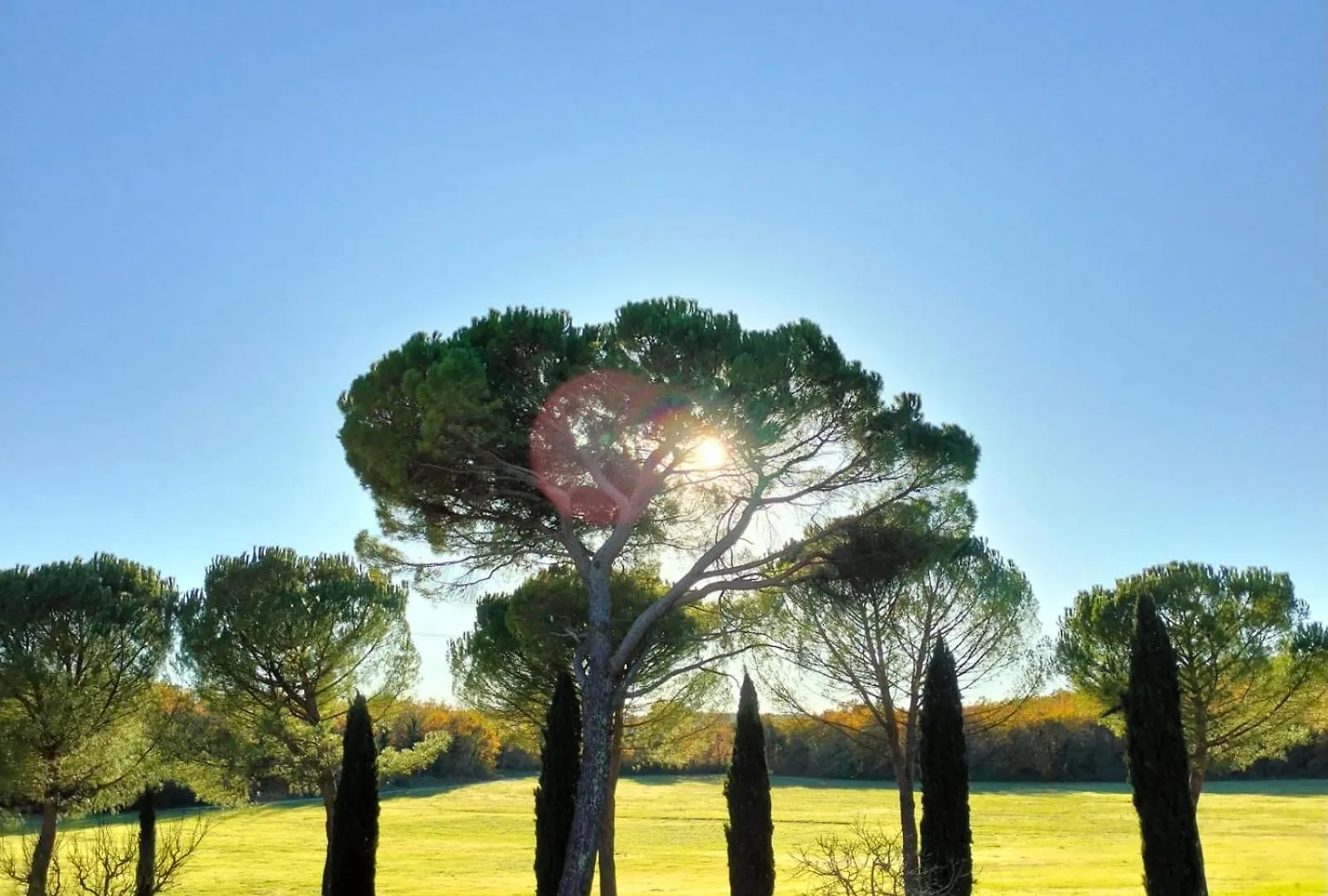 Fattoria Agriturismo Nerbona location